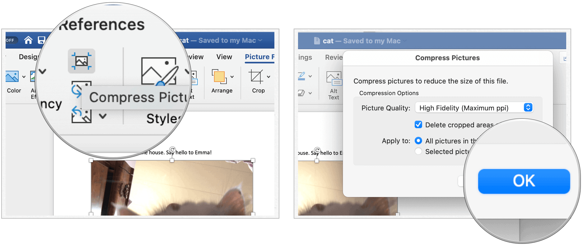 compress picture in word for mac